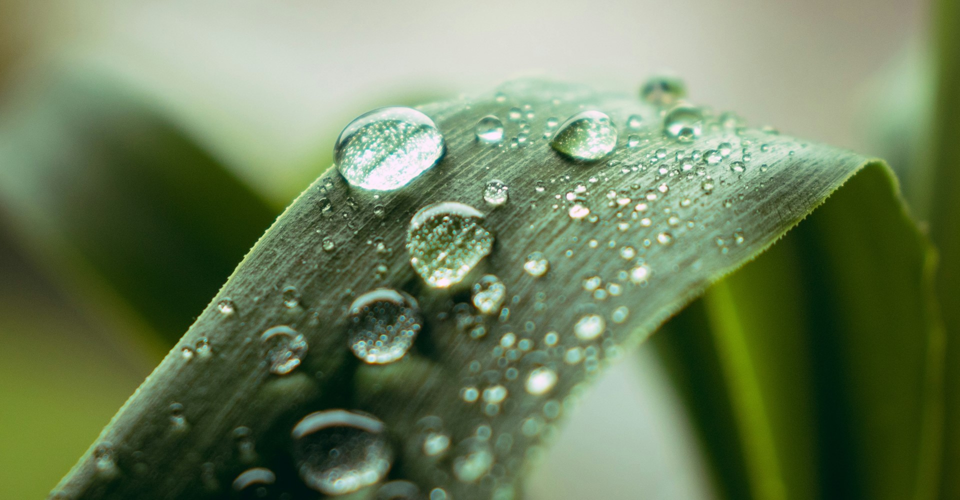 jake-colling-NWmxh08ZKGg-unsplash