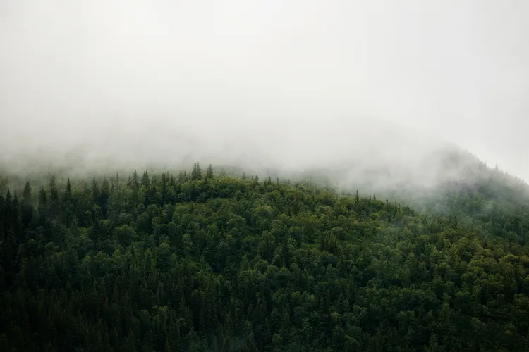 jon-flobrant-v1eV6HUdcIE-unsplash