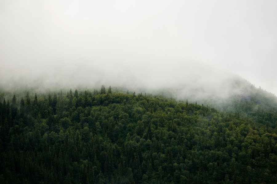 jon-flobrant-v1eV6HUdcIE-unsplash