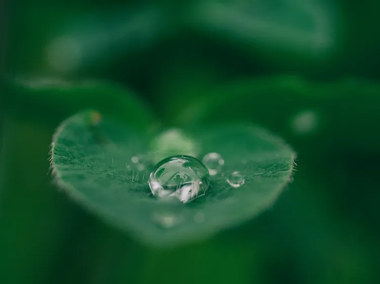 aaron-burden-dXYE1d08BiY-unsplash
